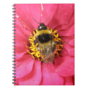 Cuaderno Bloc de notas Bumblebee