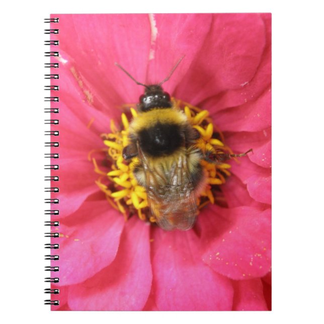 Cuaderno Bloc de notas Bumblebee (Frente)