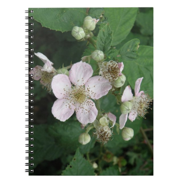 Cuaderno Bloc de notas con flores de Blackberry (Frente)