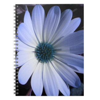 Cuaderno Bloc de notas con flores de margarita azul