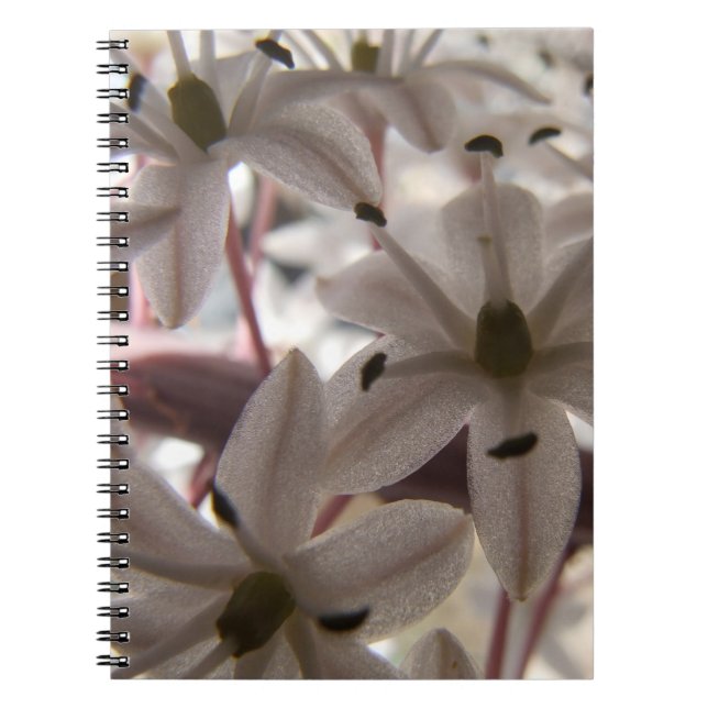 Cuaderno Bloc de notas con flores rosadas (Frente)