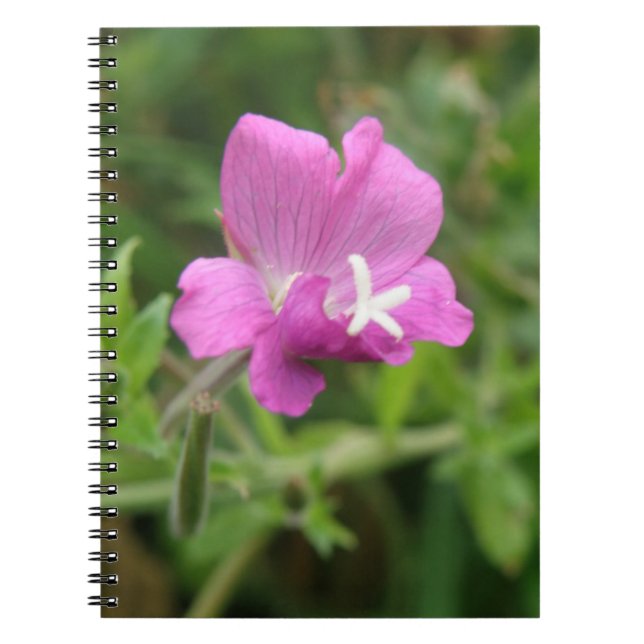 Cuaderno Bloc de notas con flores silvestres de campión roj (Frente)