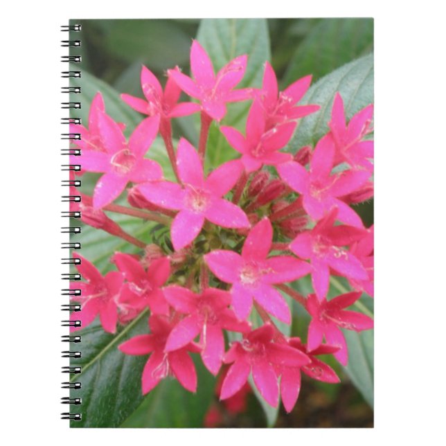 Cuaderno Bloc de notas con flores tropicales rosa brillante (Frente)