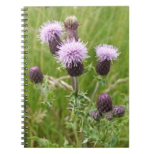 Cuaderno Bloc de notas con guiño púrpura