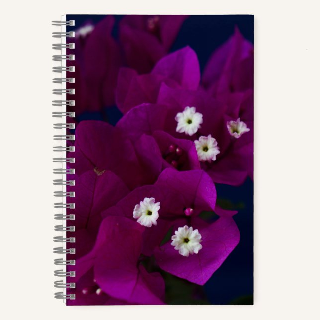 Cuaderno Bloc de notas con imágenes de flor magenta (Anverso)