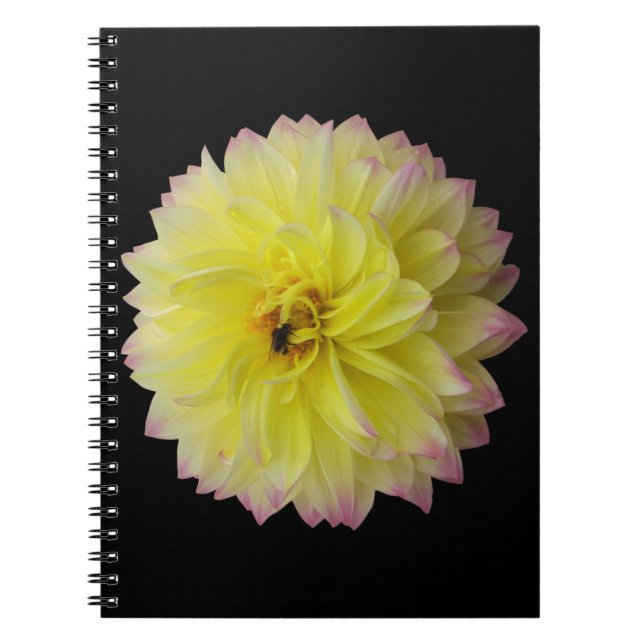Cuaderno Bloc de notas Dahlia Flower (Frente)