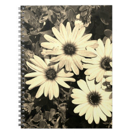 Cuaderno Bloc de notas Daisy Flower Sepia