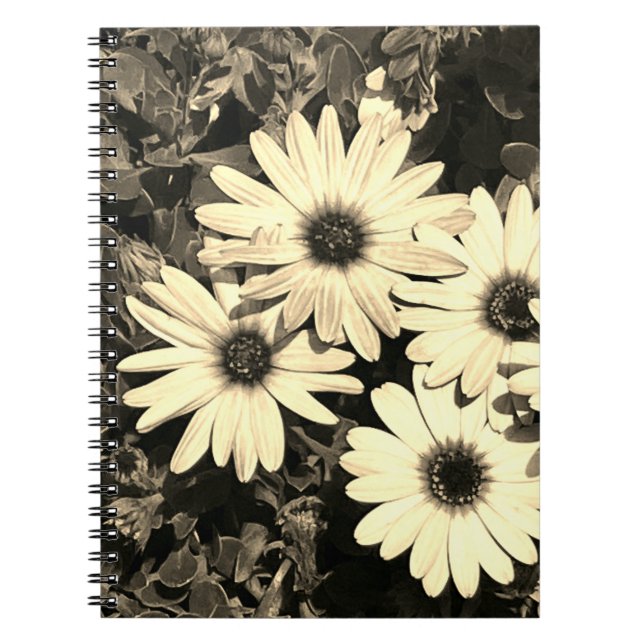 Cuaderno Bloc de notas Daisy Flower Sepia (Frente)