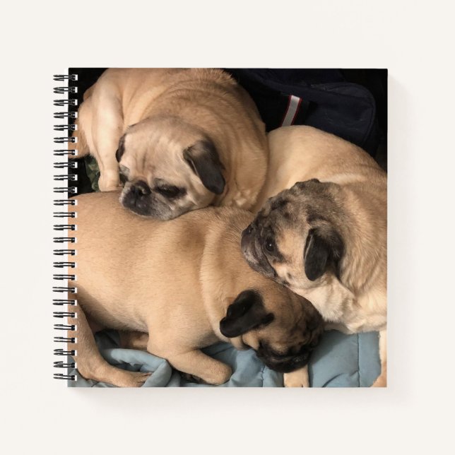 Cuaderno Bloc de notas de amor (Anverso)