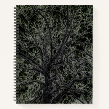 Bloc de notas de árbol