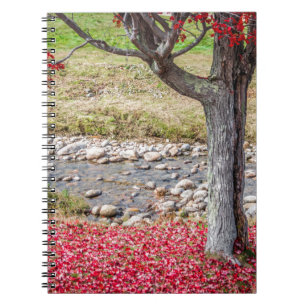 Cuaderno Bloc de notas de árbol de otoño rojo