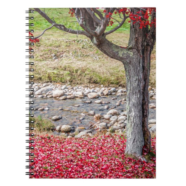Cuaderno Bloc de notas de árbol de otoño rojo (Frente)
