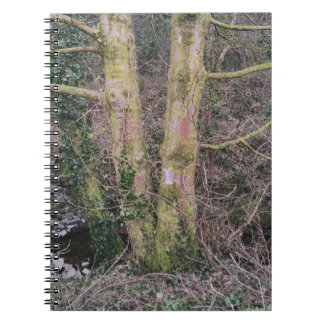 Cuaderno Bloc de notas de árboles espejos