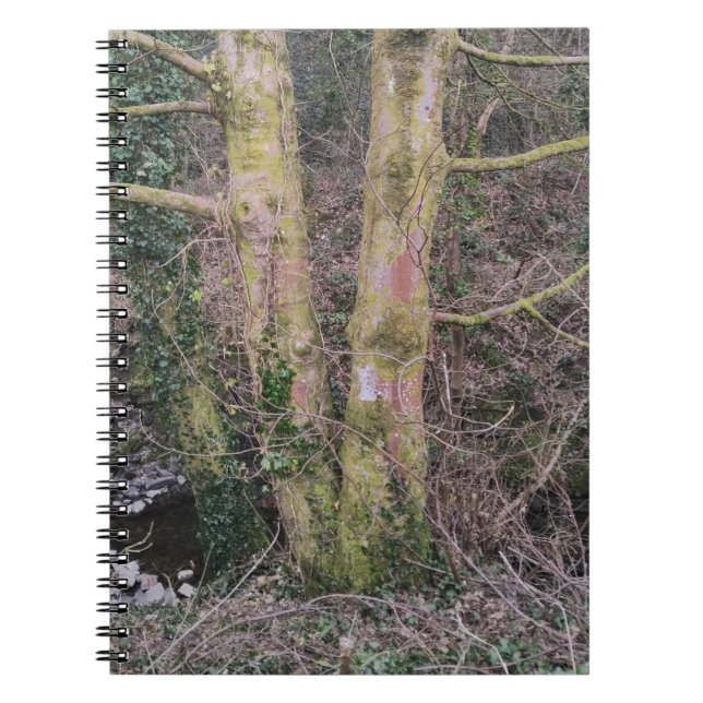 Cuaderno Bloc de notas de árboles espejos (Frente)