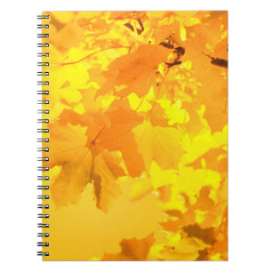 Cuaderno Bloc de notas de arce amarillo