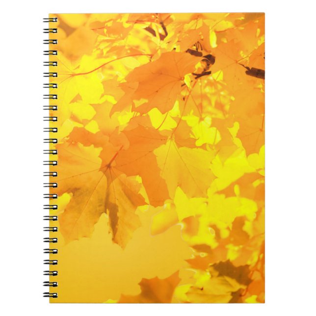 Cuaderno Bloc de notas de arce amarillo (Frente)