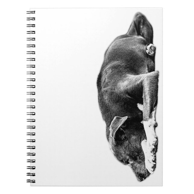 Cuaderno Bloc de notas de arte monocromo con mezcla de Pitb (Frente)