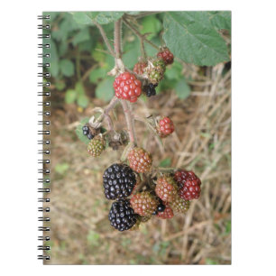 Cuaderno Bloc de notas de Blackberry Bonanza