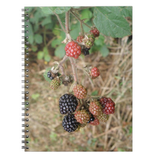 Cuaderno Bloc de notas de Blackberry Bonanza