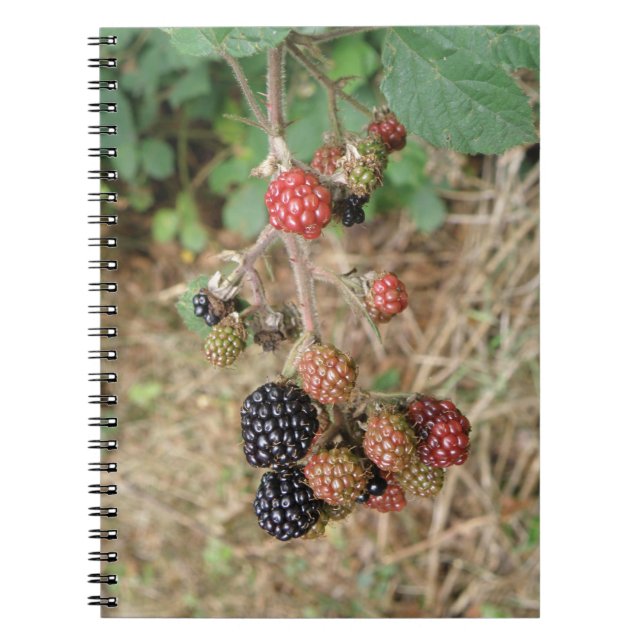 Cuaderno Bloc de notas de Blackberry Bonanza (Frente)