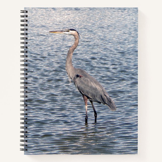 Cuaderno bloc de notas de Blue Heron (Anverso)