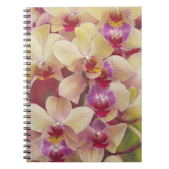 Cuaderno Bloc de notas de bonito Orquídea (Frente)