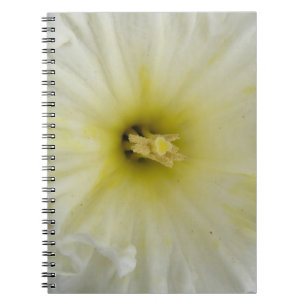 Cuaderno Bloc de notas de bonito Pale Daffodil
