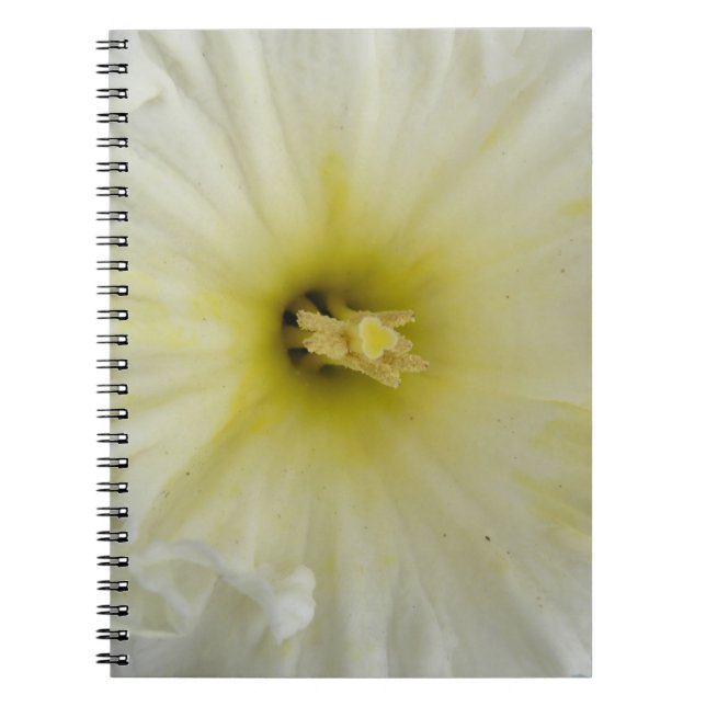Cuaderno Bloc de notas de bonito Pale Daffodil (Frente)