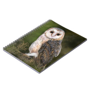 Cuaderno bloc de notas de búho de Barn occidental