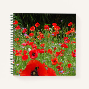 Cuaderno Bloc de notas de campo de los Poppies rojos