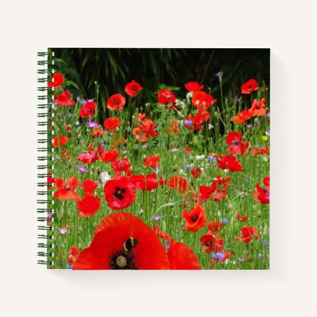Cuaderno Bloc de notas de campo de los Poppies rojos (Anverso)