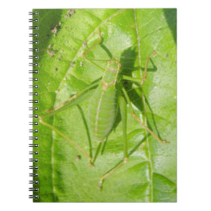 Cuaderno Bloc de notas de camuflaje de críquet verde