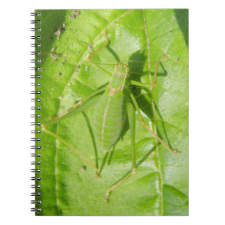 Cuaderno Bloc de notas de camuflaje de críquet verde