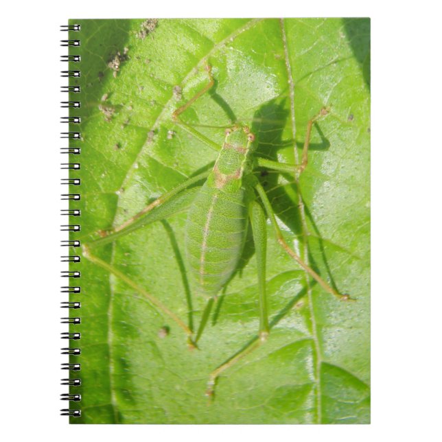 Cuaderno Bloc de notas de camuflaje de críquet verde (Frente)