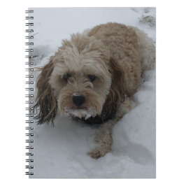 Cuaderno bloc de notas de Cavapoo