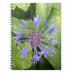 Cuaderno Bloc de notas de Cornflower azul