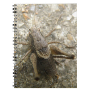 Cuaderno Bloc de notas de críquet de campo marrón