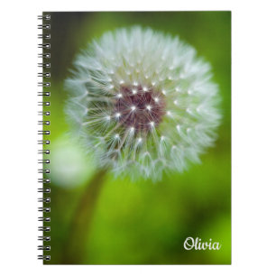 Cuaderno bloc de notas de Dandelion Spiral