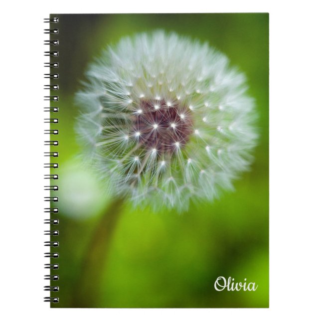 Cuaderno bloc de notas de Dandelion Spiral (Frente)