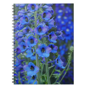 Cuaderno Bloc de notas de Delfinos Azules