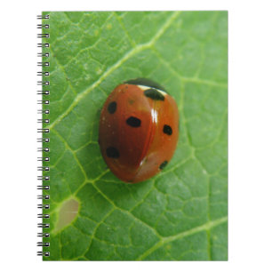 Cuaderno Bloc de notas de depuración