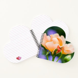 Cuaderno bloc de notas de deseo desplegable
