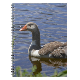 Cuaderno Bloc de notas de disco