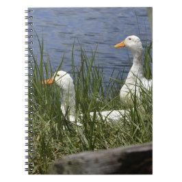 Cuaderno Bloc de notas de disco