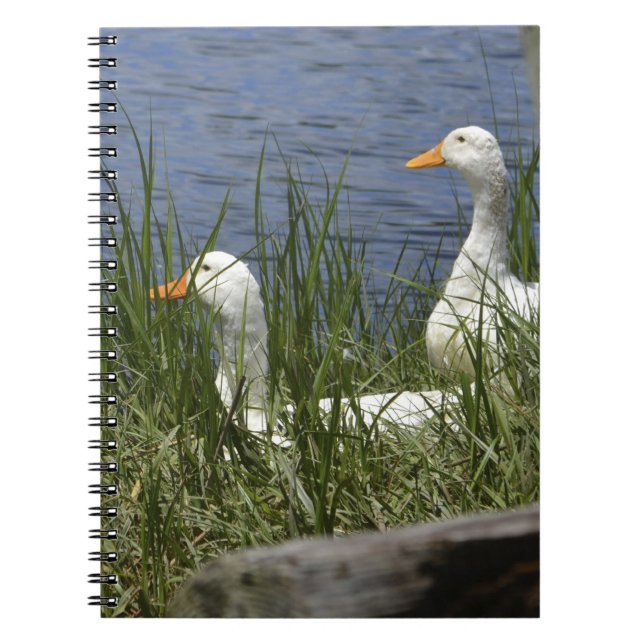 Cuaderno Bloc de notas de disco (Frente)
