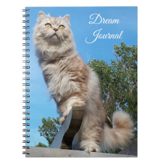 Cuaderno Bloc de notas de Dream Cat Longhair Británico