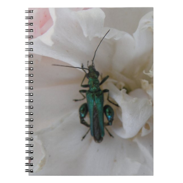 Cuaderno Bloc de notas de escarabajo de flores (Frente)
