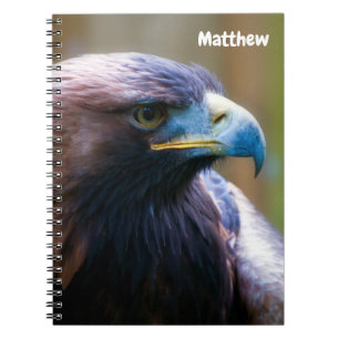 Cuaderno bloc de notas de espiral de águila dorada