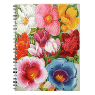 Cuaderno Bloc de notas de espiral de Begonias y Gloxinias b