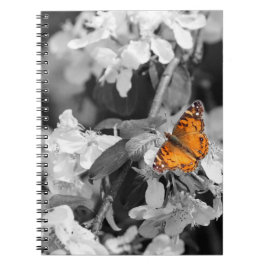 Cuaderno Bloc de notas de espiral de mariposa de dama estad